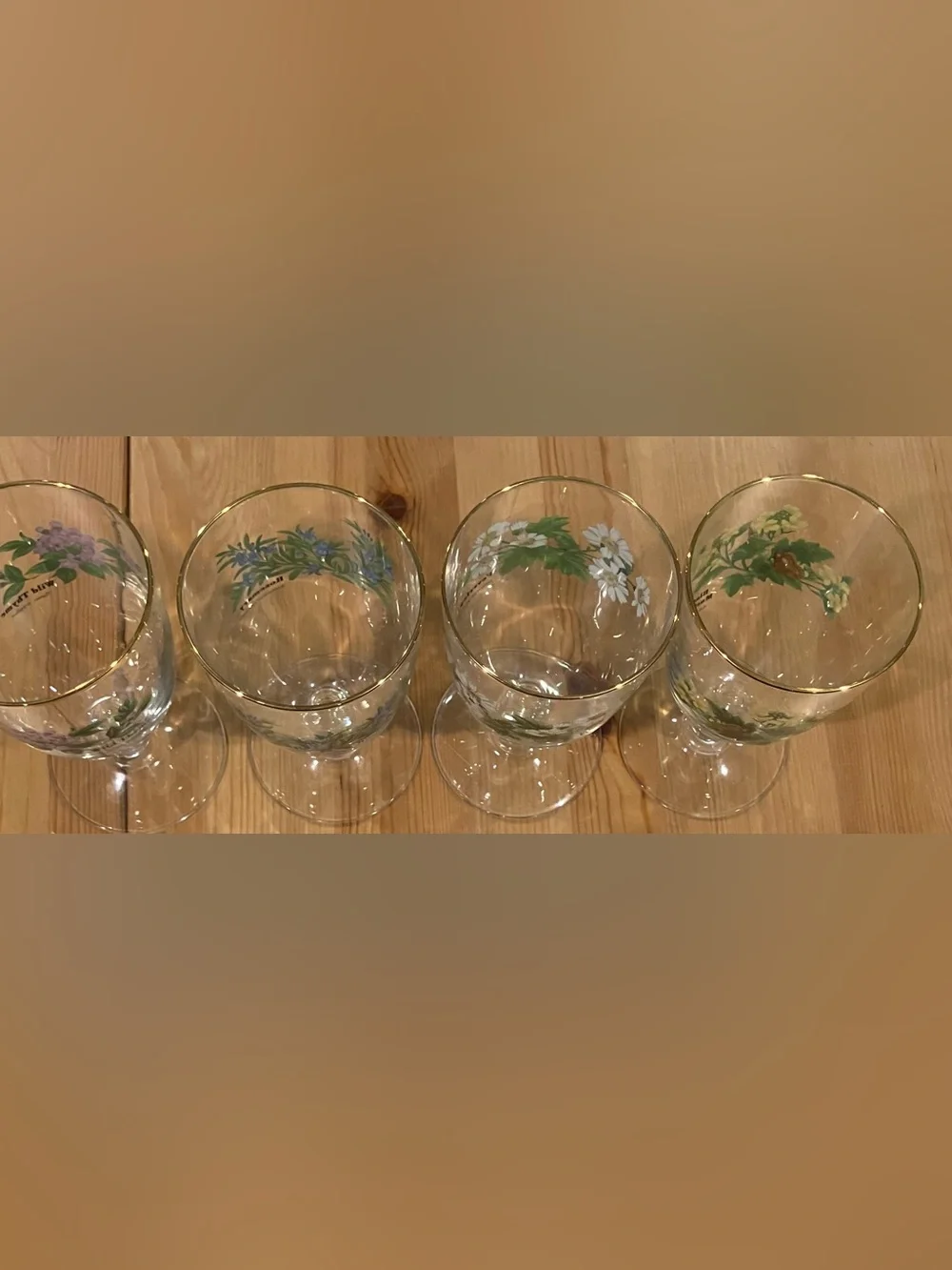 EUC Royal Worchester Herbs Stemmed Water Goblets w/Gold Rim (Set of 4) Vintage